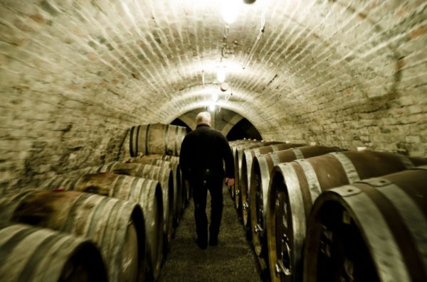 In the Heimann cellar