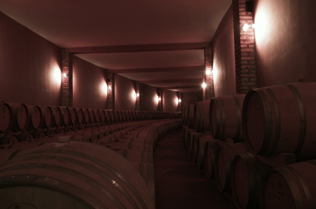 aus Ungarn Irsai Olivér 2023 Wein Ikon BorStore – -