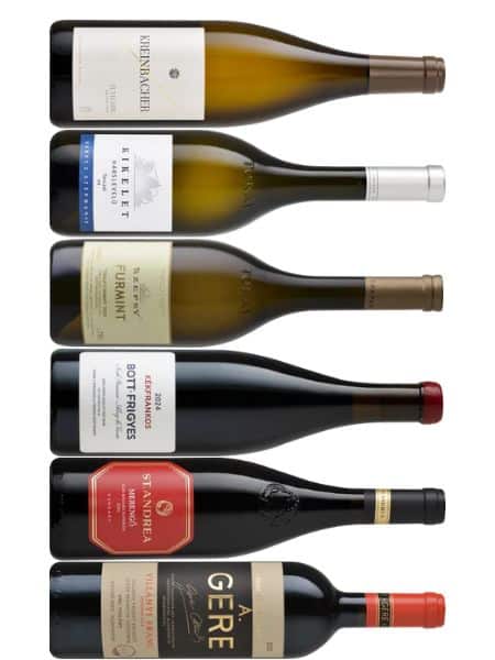 Moderne Klassiker Weinpaket