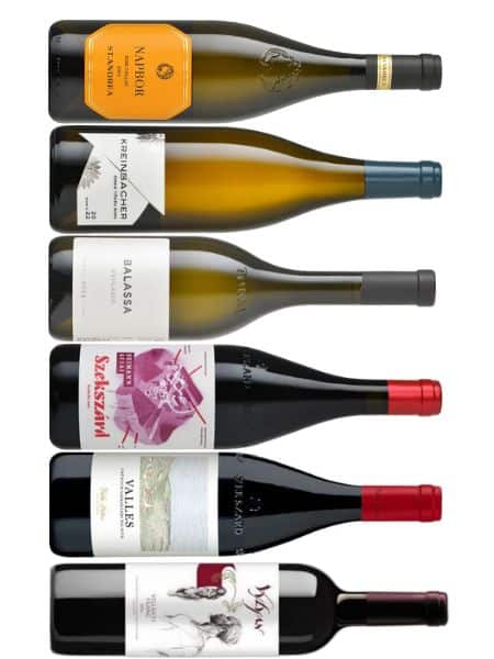 Festliche Herbstweine Paket