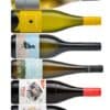 Easy Summer Wines